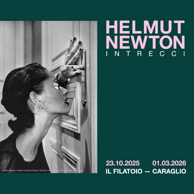Helmut Newton. Intrecci