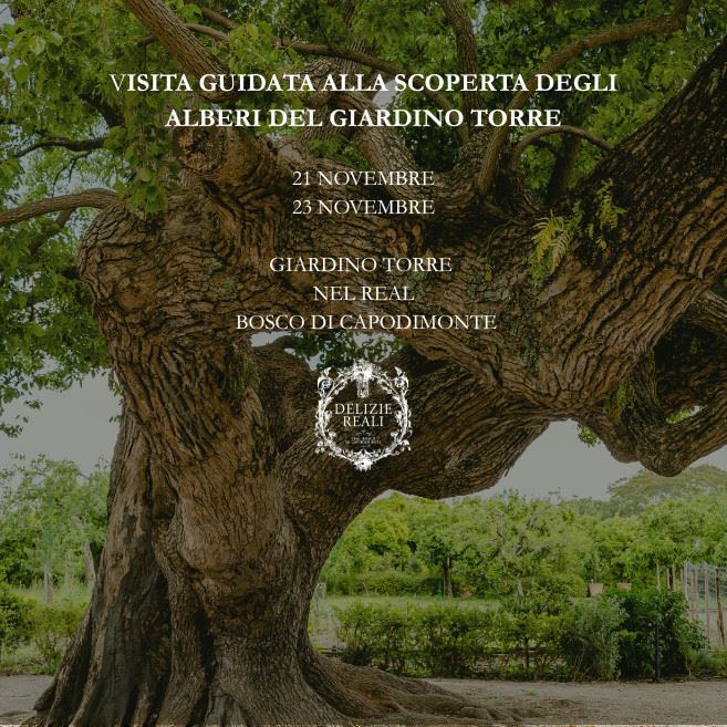 Alla scoperta degli alberi del Giardino Torre