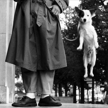 Biglietto Open Elliott Erwitt