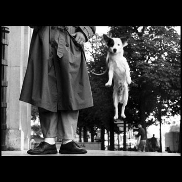 Elliott Erwitt