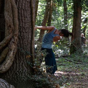 Albero Madre