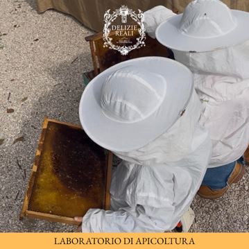 Laboratorio di Apicoltura
