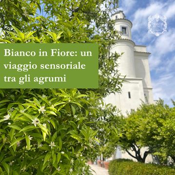 Bianco in Fiore: un viaggio sensoriale tra gli agrumi