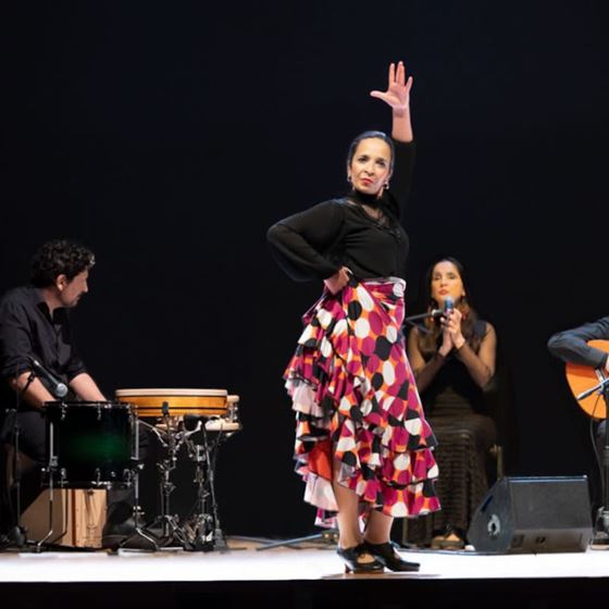 Fiesta Flamenca