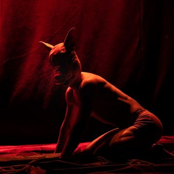 Incipit Company - Io Bestia